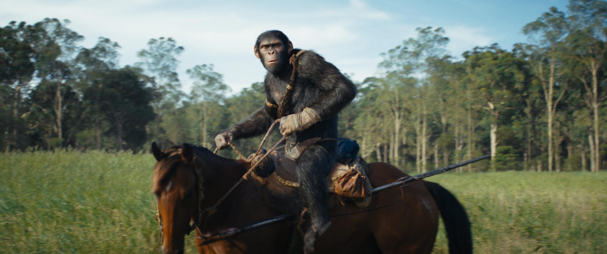 ‘Kingdom of the Planet of the Apes’ Review: Caesar’s Legacy Lives On